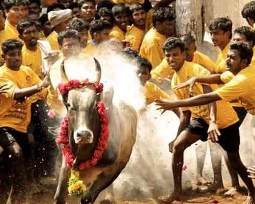 தைப்பொங்கல் சொல்லும் வரலாறு#History of Thaipongkal 2 pongkal_vilayattukkal