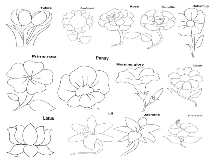 Coloring Flowers black and White