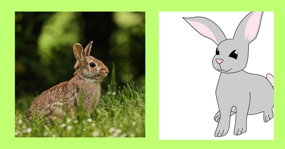 English Short Essay About Rabbit in 150 Words - சிறுவர்களுக்கான அறிவுத்திறன் வளர்ச்சிக்குரிய வழிகாட்டல்கள் English Short Essay About Rabbit in 150 Words - சிறுவர்களுக்கான அறிவுத்திறன் வளர்ச்சிக்குரிய வழிகாட்டல்கள்